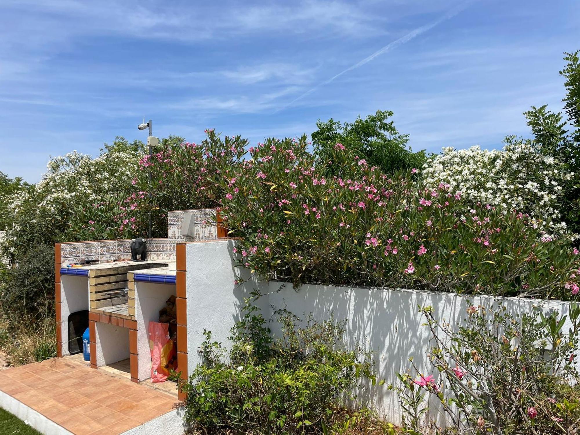 롤레 Casa Vista Dos Cerros 빌라 외부 사진